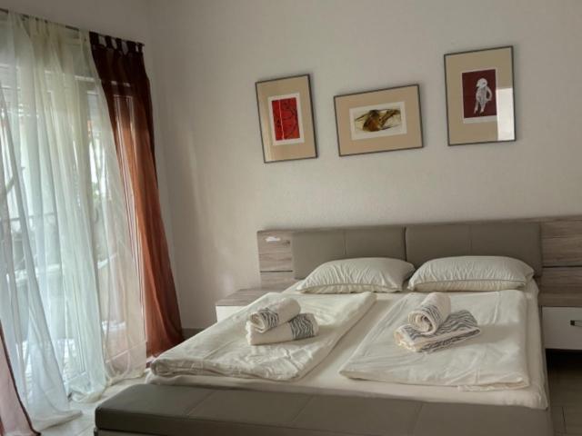 Macko, Apartmani Teodo Camera foto